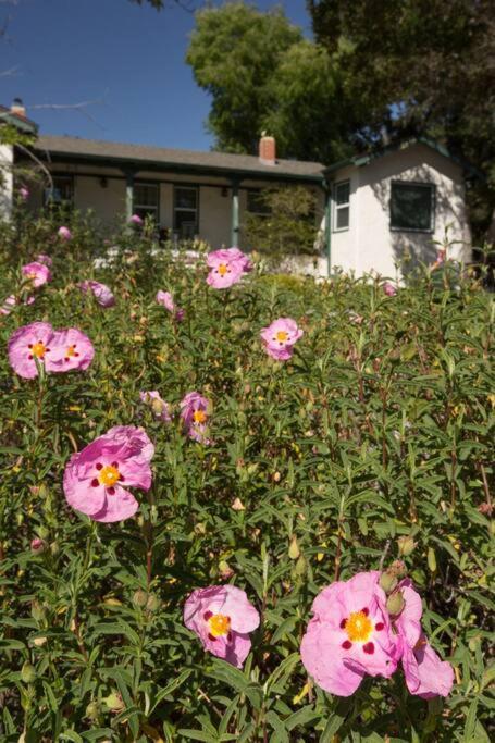 Wine Country Bungalow Atascadero Εξωτερικό φωτογραφία